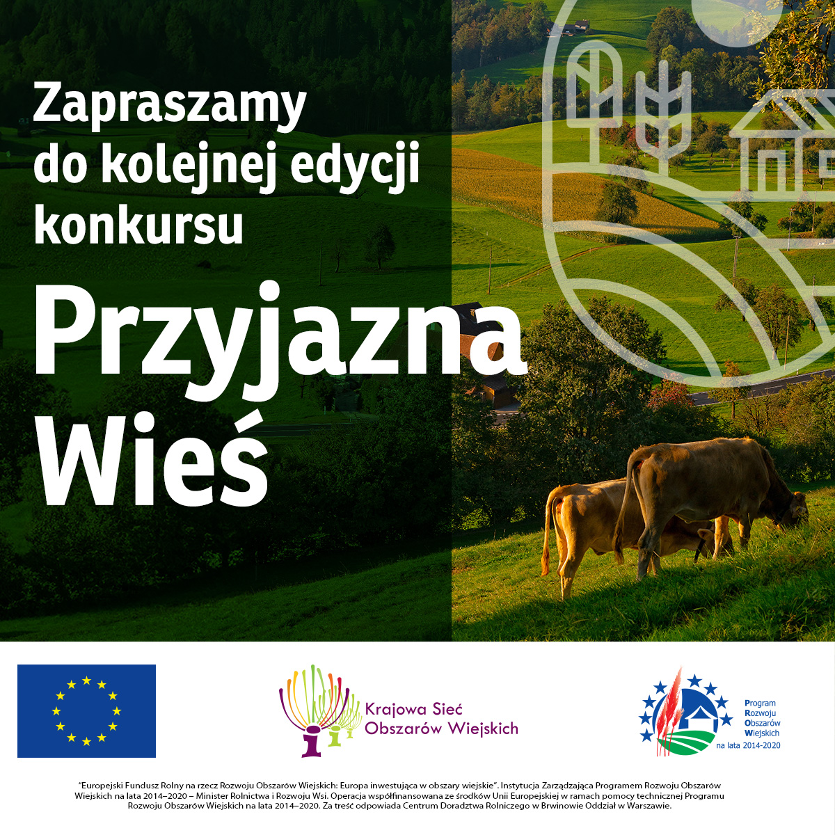 6._Post_na_Facebooka_grafika.jpg